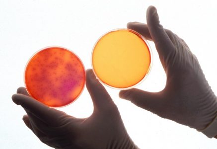 Jonizator