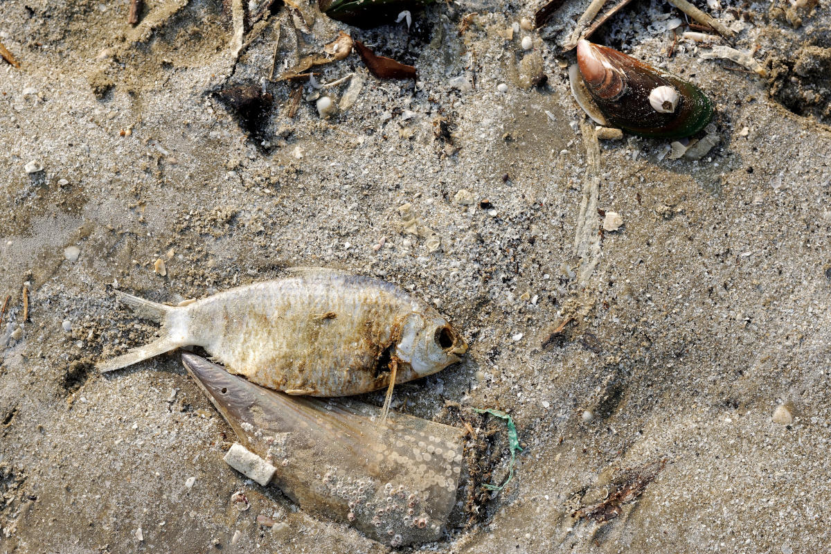 Zanieczyszczenia przemysłowe wody